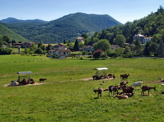 img_srchttpwww.spiritualiteetyoga.com_image.jpg_alt_Kutir_a_Bize_5_